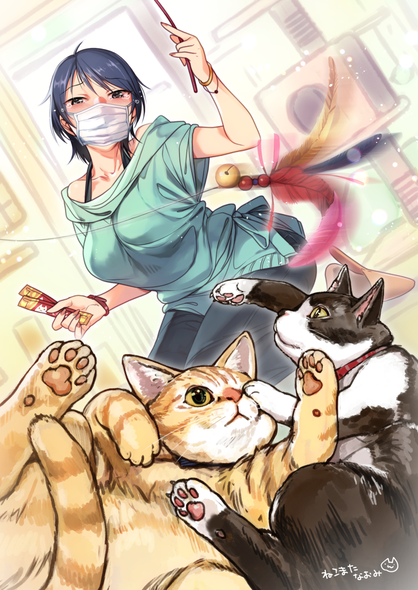 和久井留美和猫一起玩插画图片壁纸