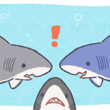 各种各样的鲨鱼们插画图片壁纸