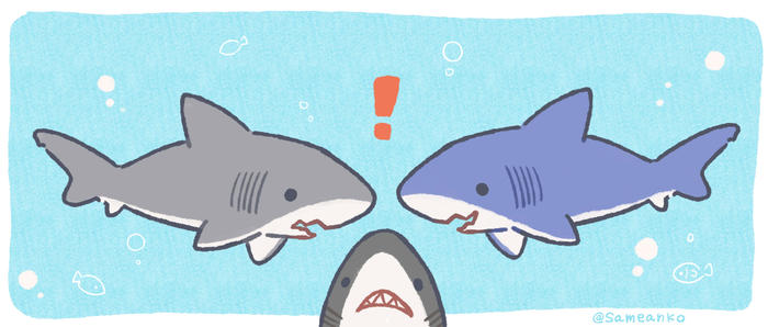 各种各样的鲨鱼们插画图片壁纸
