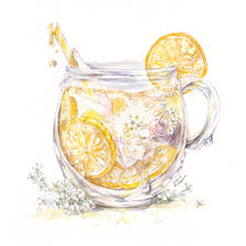 花之柠檬水插画图片壁纸