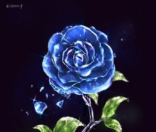 青薔薇-创作原创