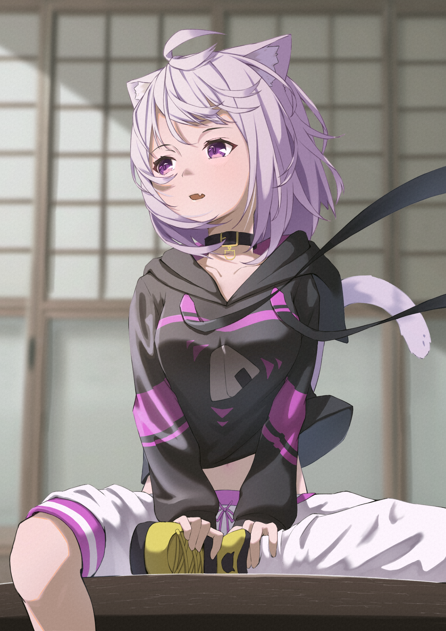 catdog21hololive猫又小粥