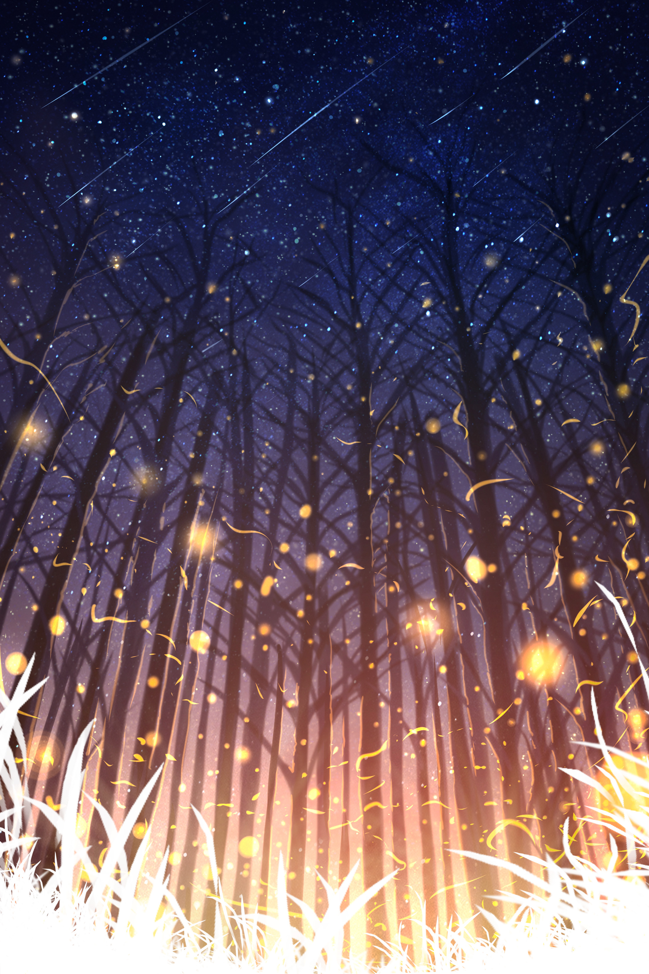 星星散落的森林插画图片壁纸