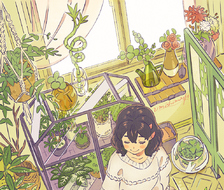 碗和温室/Small Greenhouse