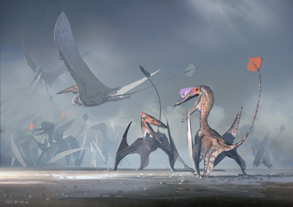 Pterosauria|翼龙目插画图片壁纸
