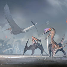 Pterosauria|翼龙目插画图片壁纸