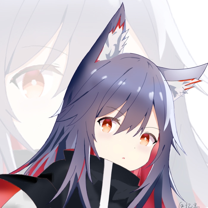 Texas插画图片壁纸