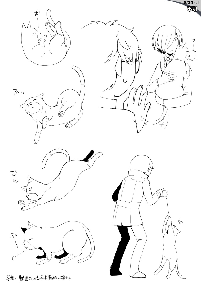 【影时间日记番外】2月22日【猫之日】插画图片壁纸