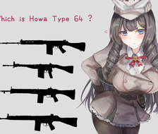 Which is Howa Type 64 ?