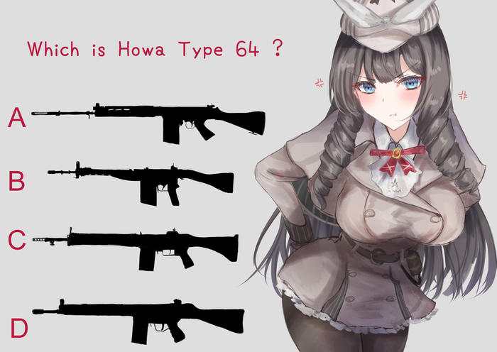 Which is Howa Type 64 ?插画图片壁纸