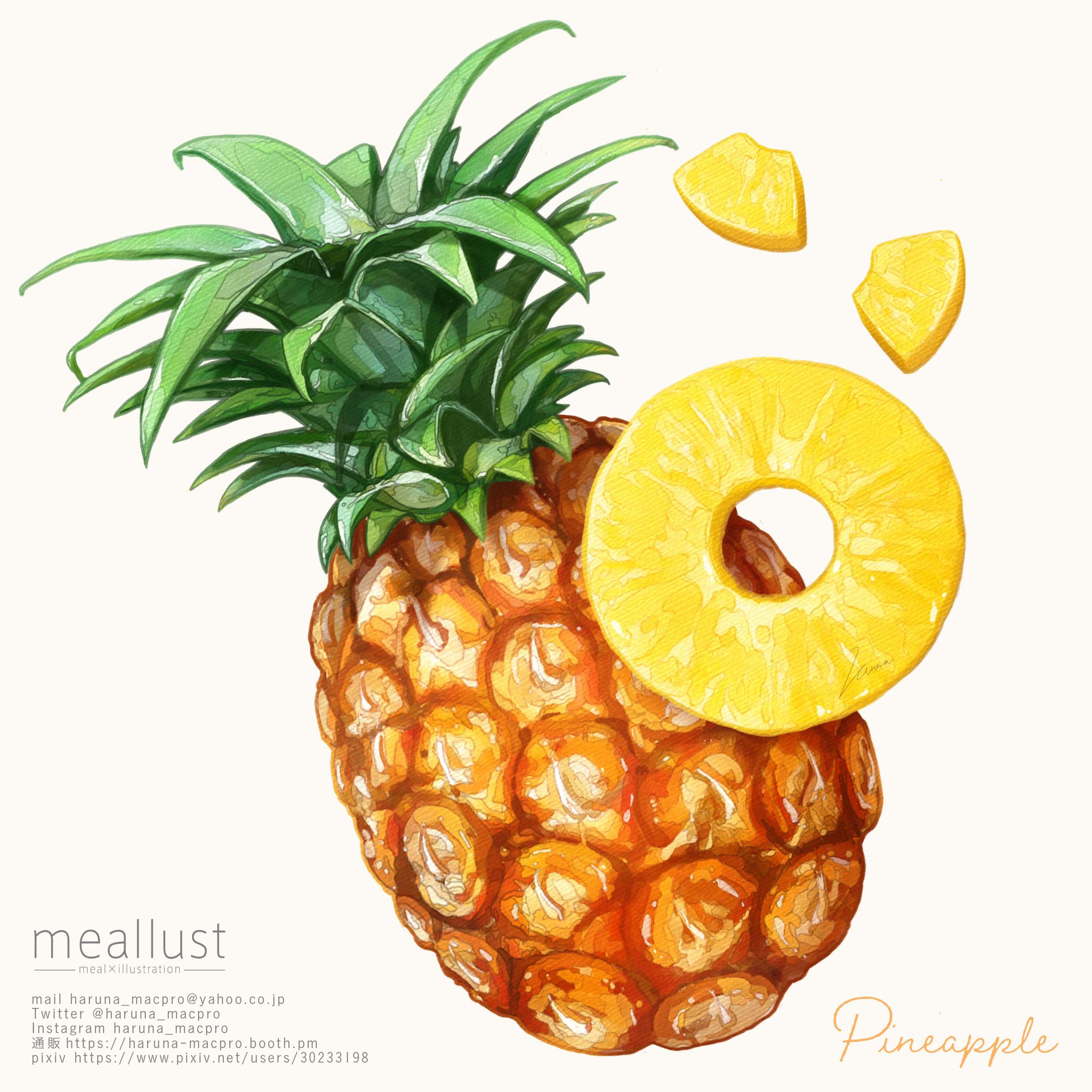 Pineapple插画图片壁纸