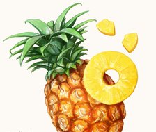 Pineapple-原创创作