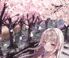 桜見物-樱花树粉色