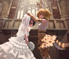 山猫和小太婆的婚礼（游戏）