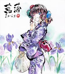 菖蒲 ‐Iris‐插画图片壁纸