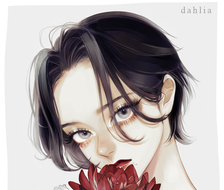 dahlia【举办个展的通知】