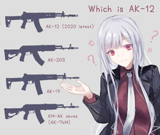 Which is AK-12 ?