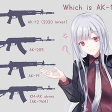 Which is AK-12 ?插画图片壁纸