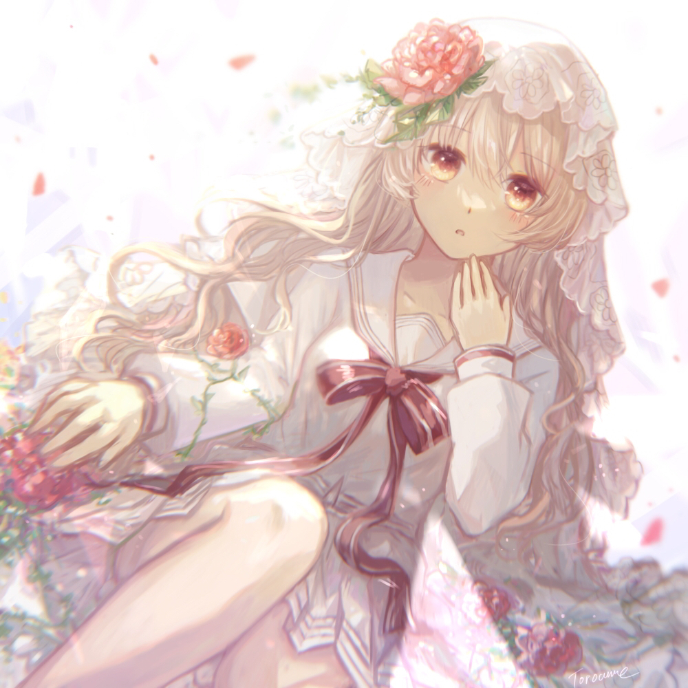 Zero Hikari-花朵Hikari