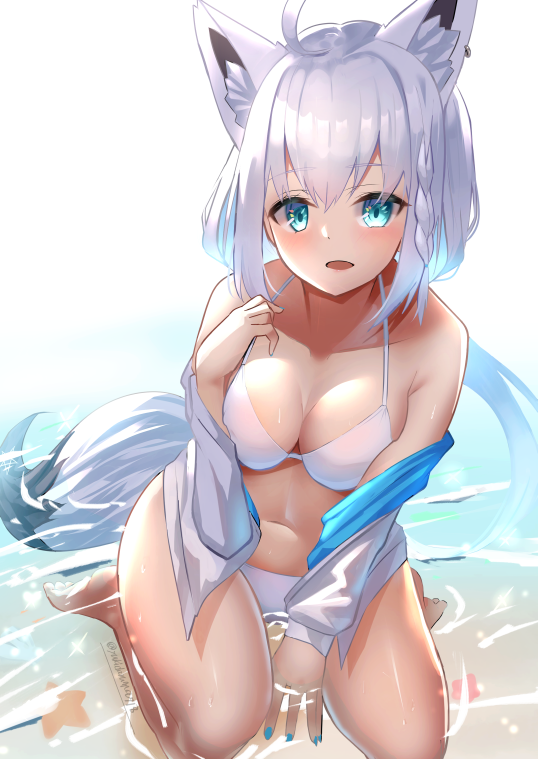 泳衣鱼翅插画图片壁纸
