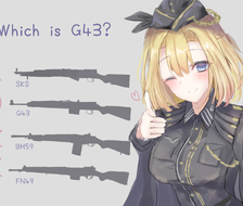 Which is G43?-G43G43(ドールズフロントライン)