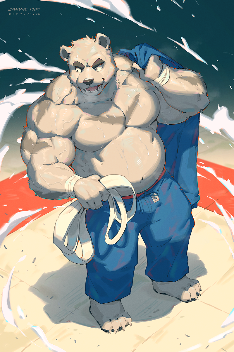 Judo Bear插画图片壁纸