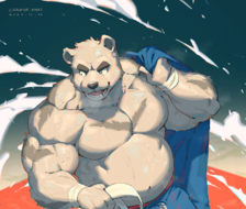 Judo Bear-Bear兽人