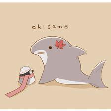 秋鲨鱼插画图片壁纸