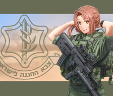 IDF-枪支現代個人装具
