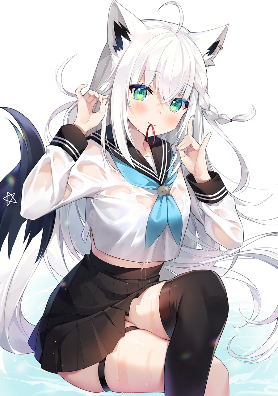 白上鱼翅插画图片壁纸