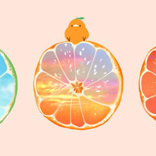 空切的橘子插画图片壁纸