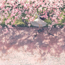 樱花河插画图片壁纸