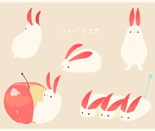 苹果兔子各种各样