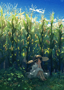 玉米插画图片壁纸