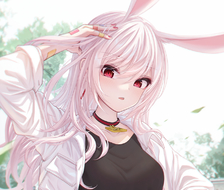 Lirin-原创RabbitGarden