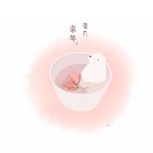 桜茶插画图片壁纸