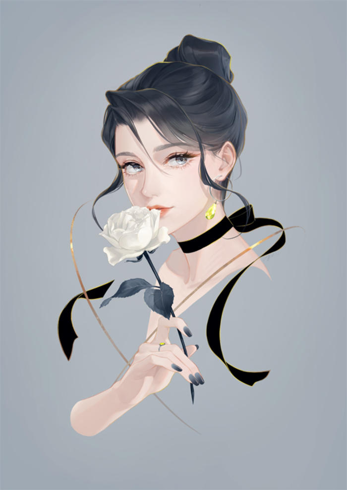White rose插画图片壁纸
