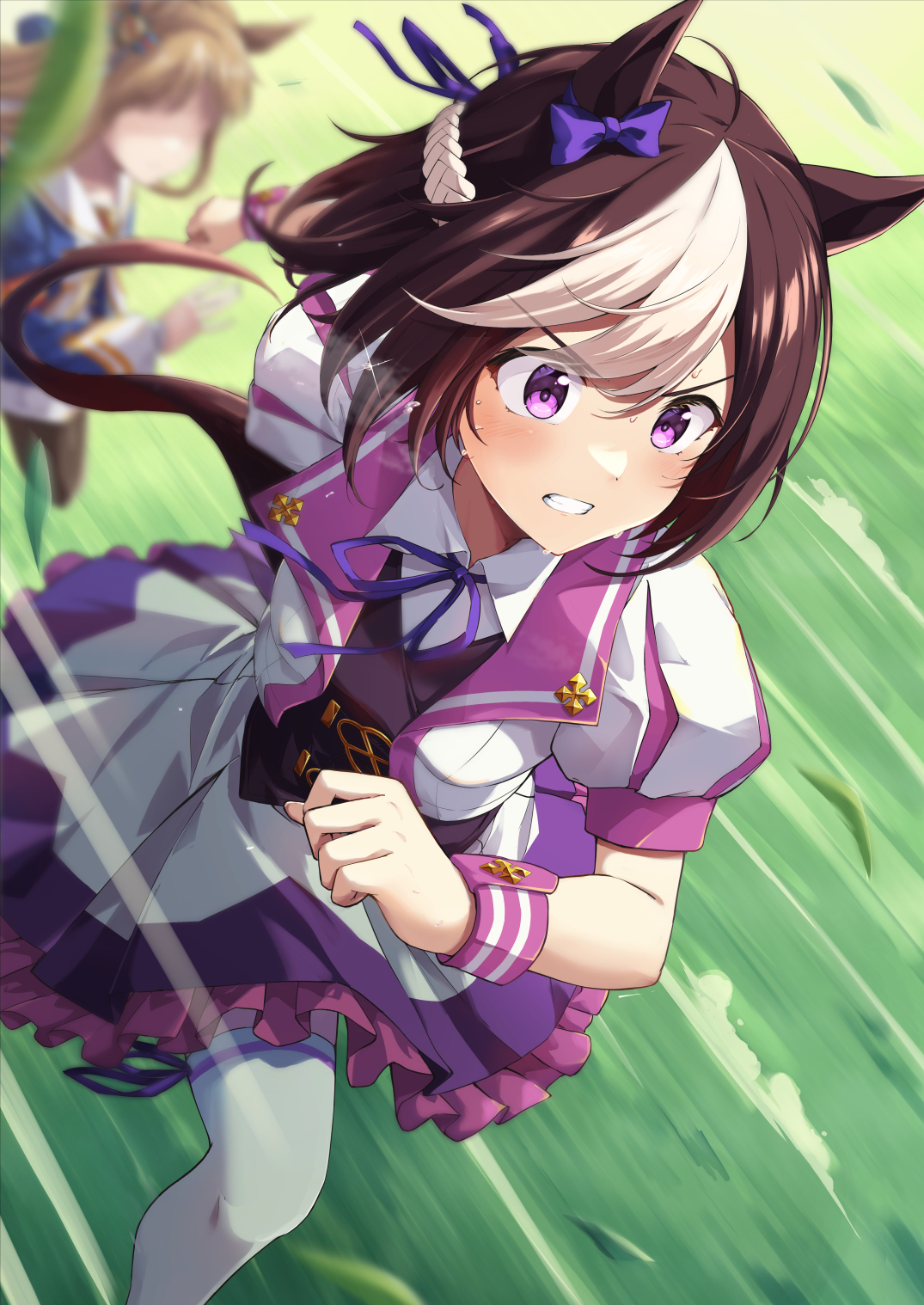 頂へ至る道-赛马娘特别周马娘