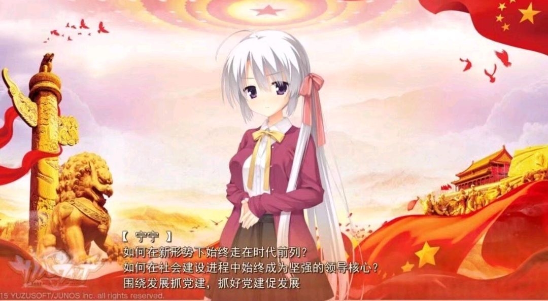 中国式爱国