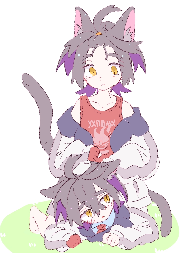 猫sgr总结插画图片壁纸