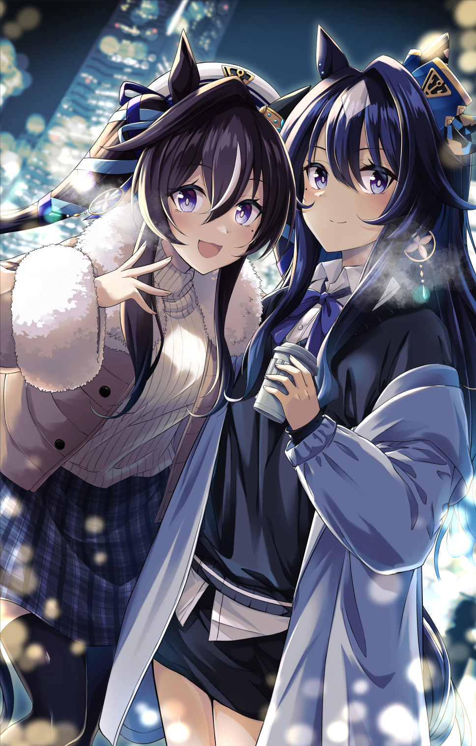 ヴィルシーナ＆ヴィブロス插画图片壁纸