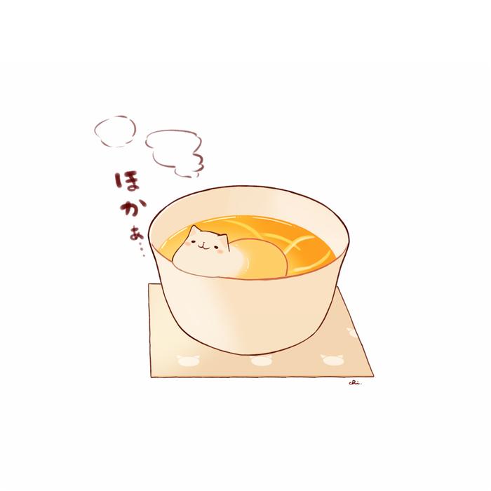 猫柚子茶插画图片壁纸