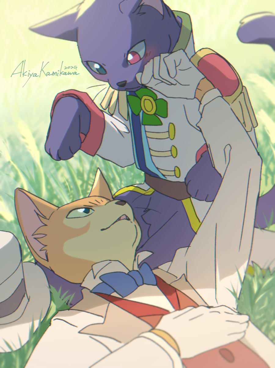 鲁恩-猫的报恩六位大人的秘密