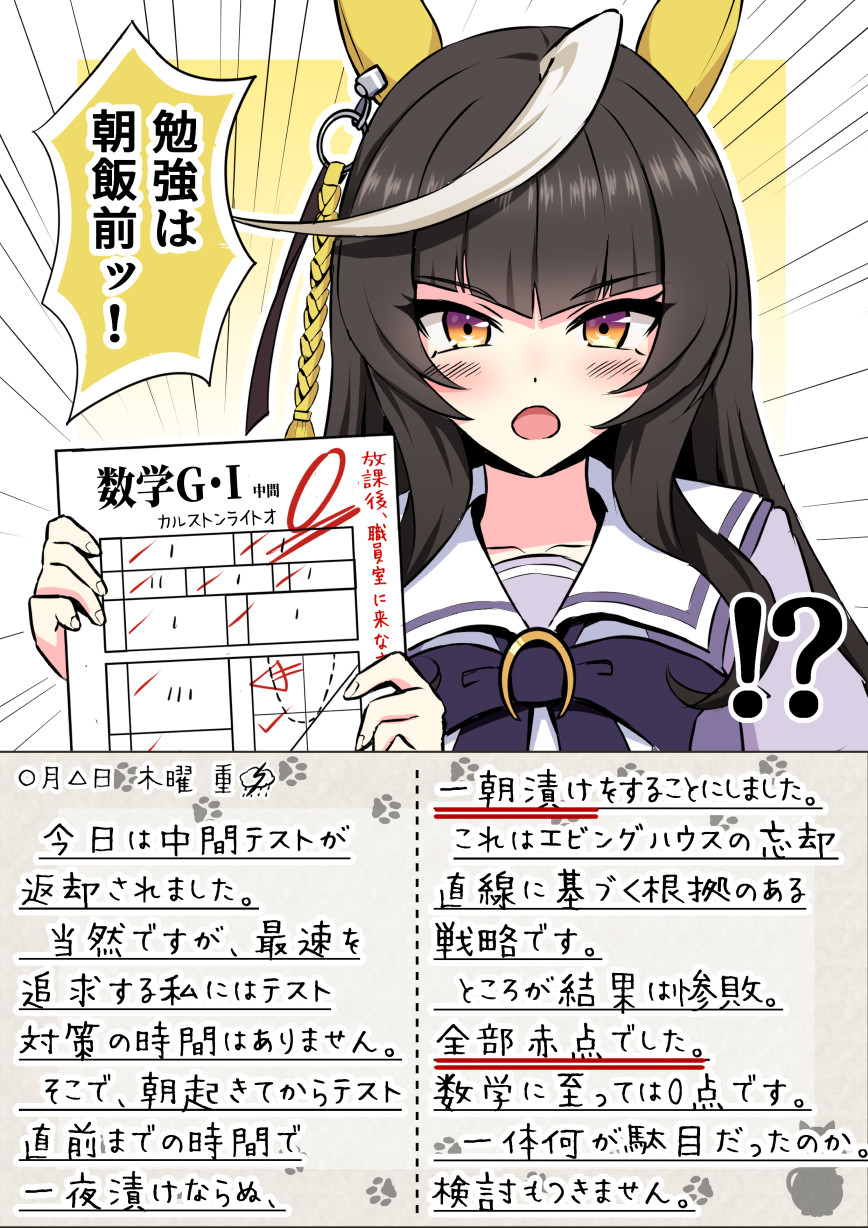 卡尔斯顿莱托奥的日记《测试对策》