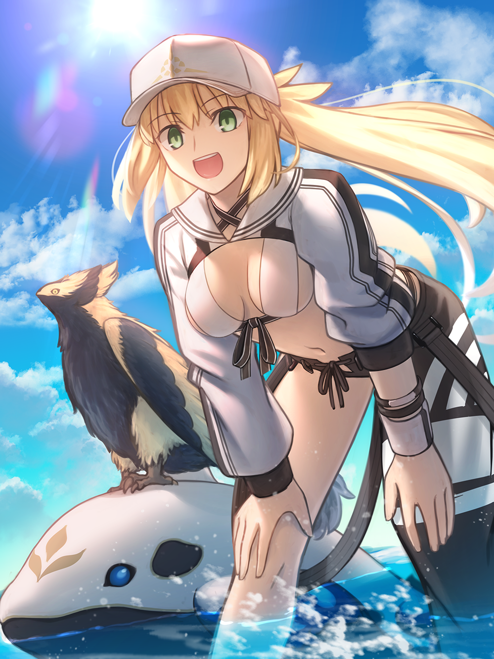 夏天开始了-型月世界命运－冠位指定