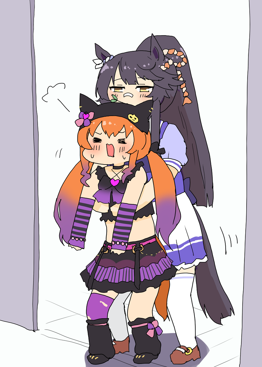 玛雅猫每次入侵都会把她赶出去布莱恩