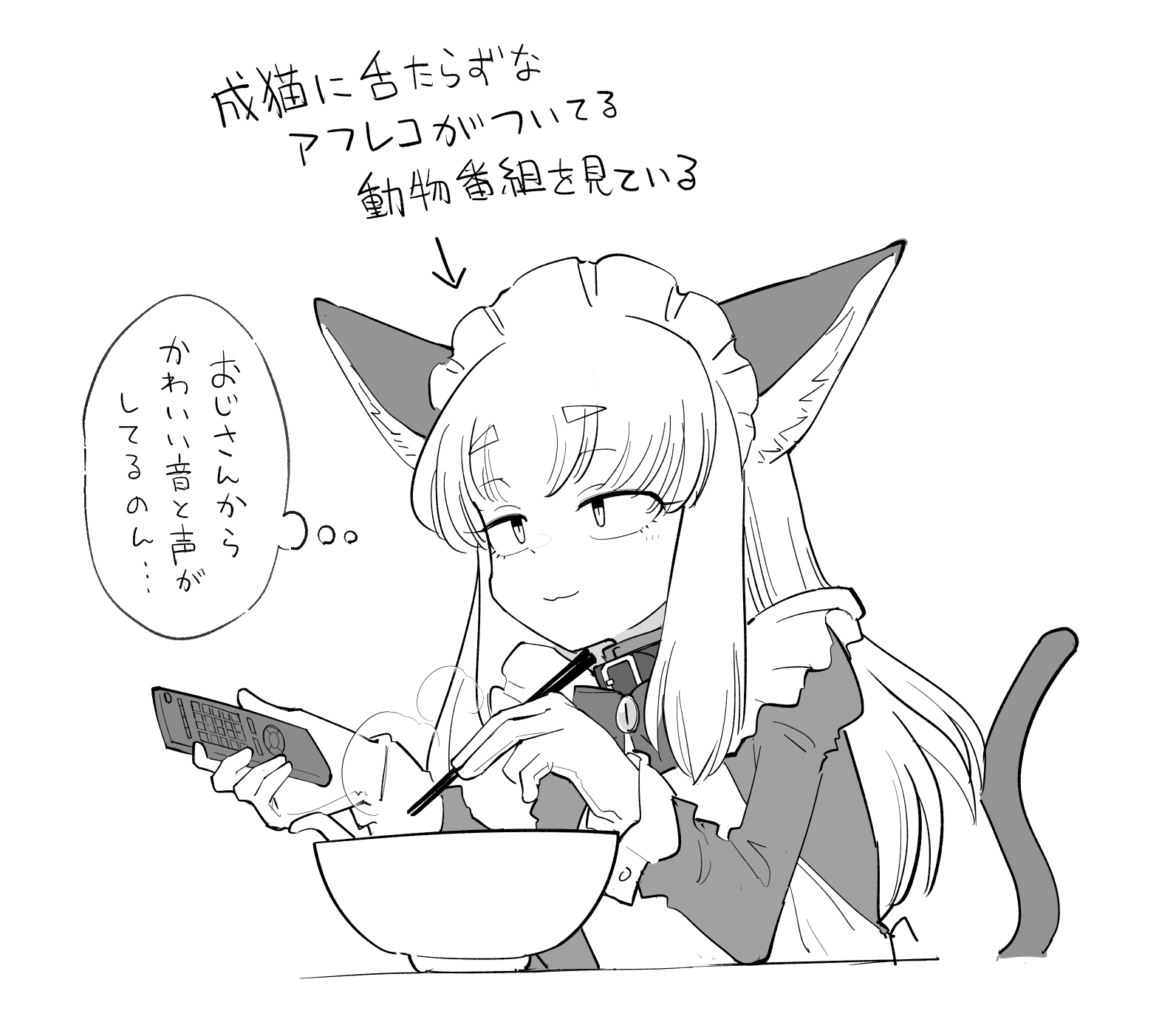 小猫（换算成人56岁）