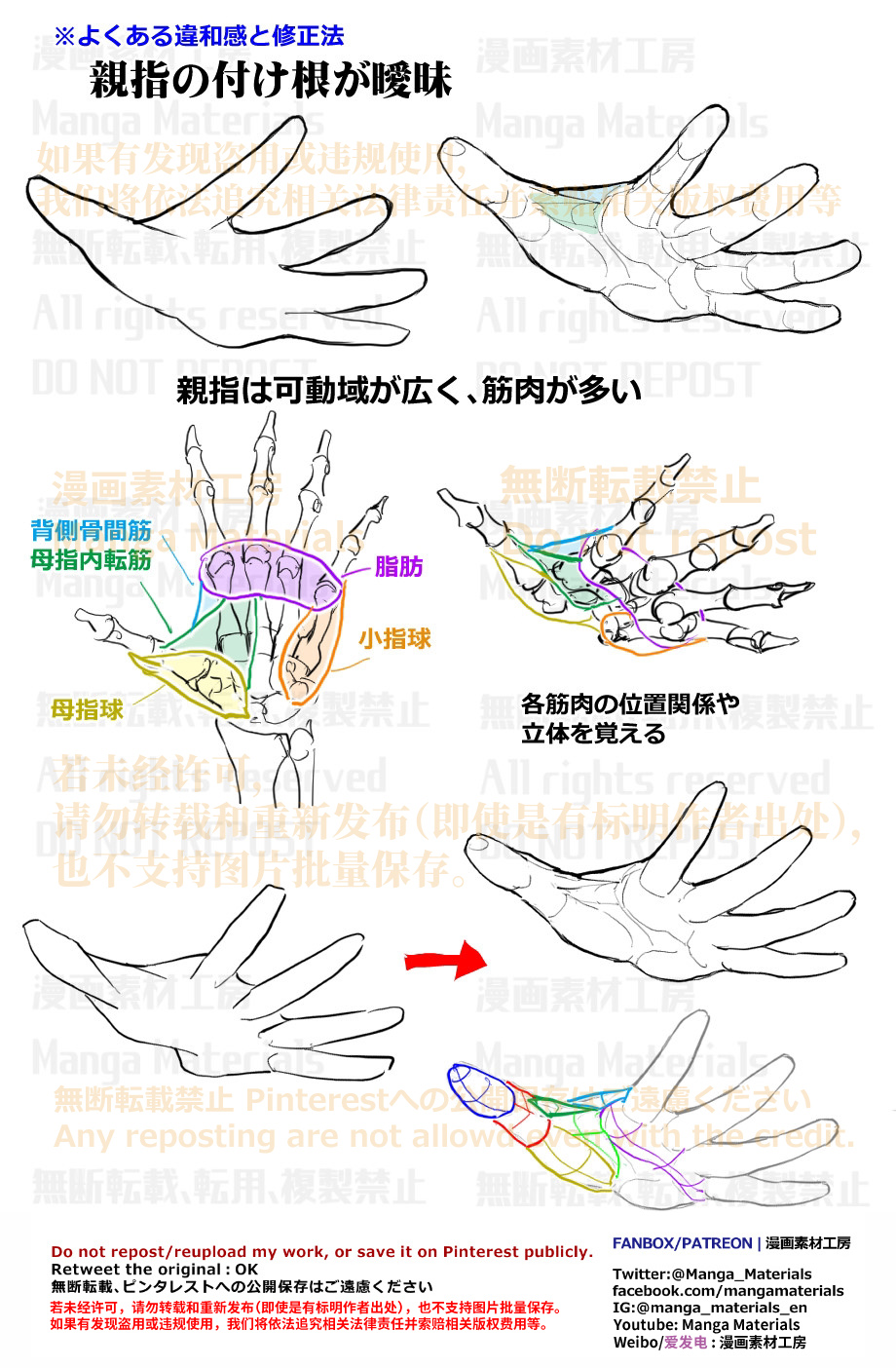 個人メモ：親指の付け根の構造头像同人高清图