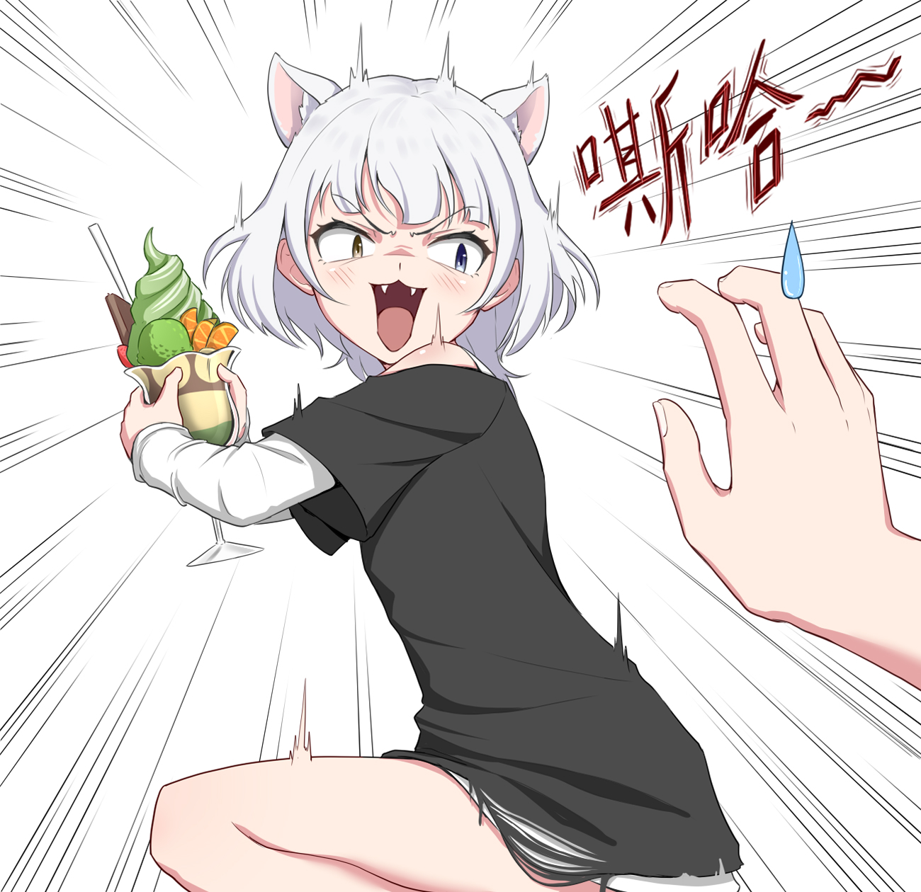 猫突然护食怎么办