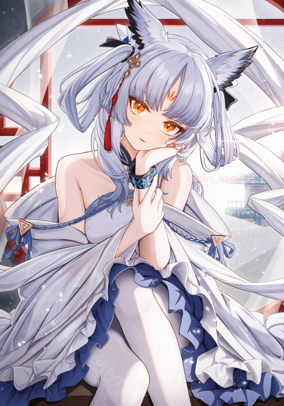 フィリオプシスさん